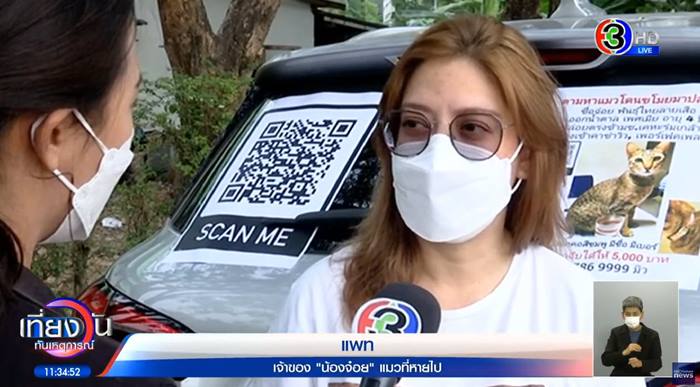 พนักงานส่งของขโมยแมว พนักงานส่งของขโมยแมว