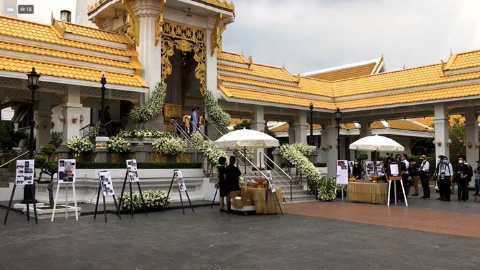 ข่าวหมอกระต่าย ข่าวหมอกระต่าย