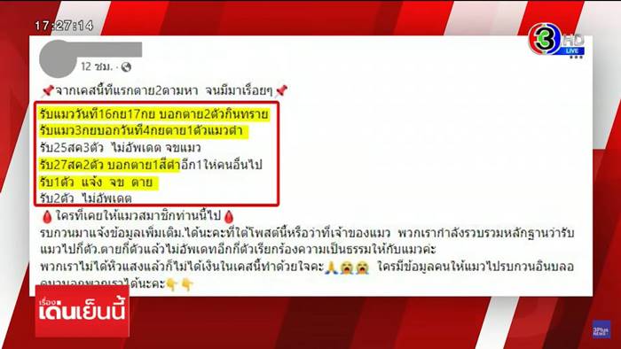 ฆ่าแมว ฆ่าแมว