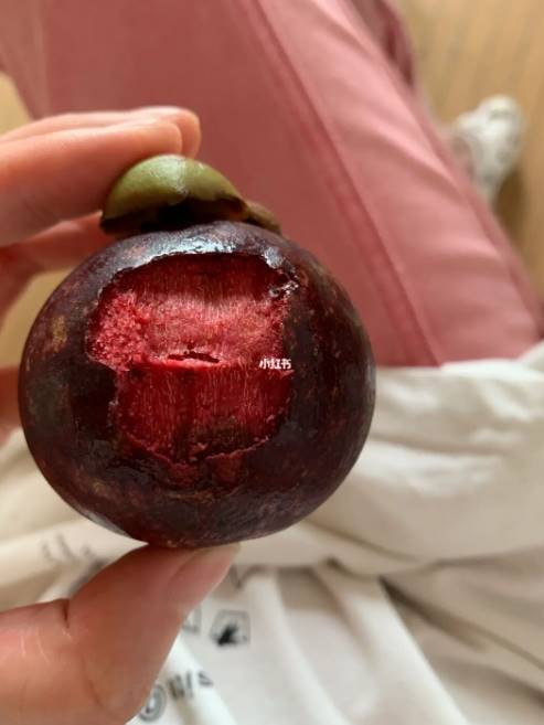 คนจีนกินมังคุดทั้งเปลือก คนจีนกินมังคุดทั้งเปลือก