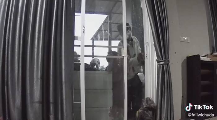 แมวเปิดประตูบ้านให้เจ้าของ แมวเปิดประตูบ้านให้เจ้าของ