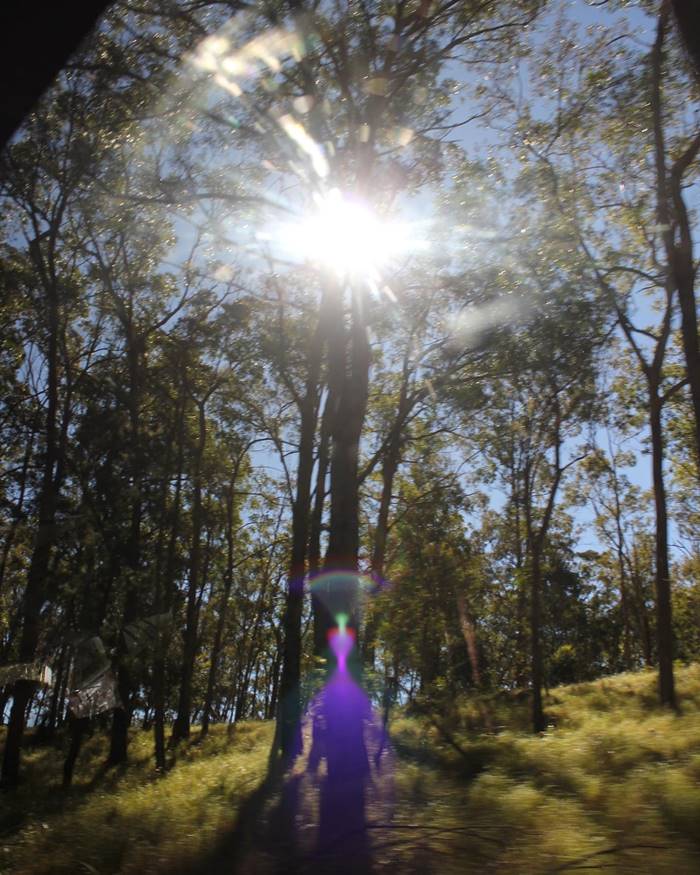 หมอปลาย โพสต์ภาพถ่ายมนุษย์ต่างดาวในป่า หมอปลาย โพสต์ภาพถ่ายมนุษย์ต่างดาวในป่า