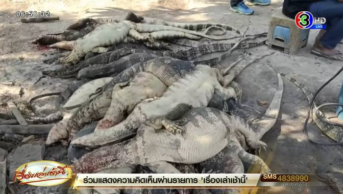 ตัวเงินตัวทอง ตัวเงินตัวทอง