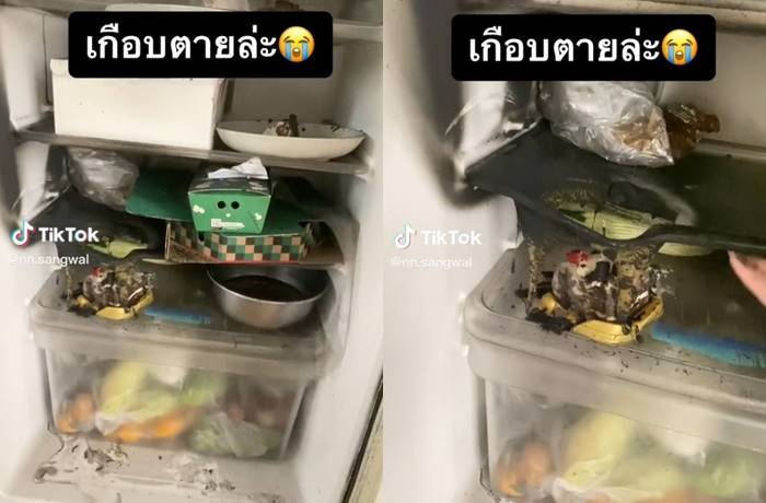 เค้กวันเกิดใส่ตู้เย็น เทียนไม่ดับเกือบขิต เค้กวันเกิดใส่ตู้เย็น เทียนไม่ดับเกือบขิต