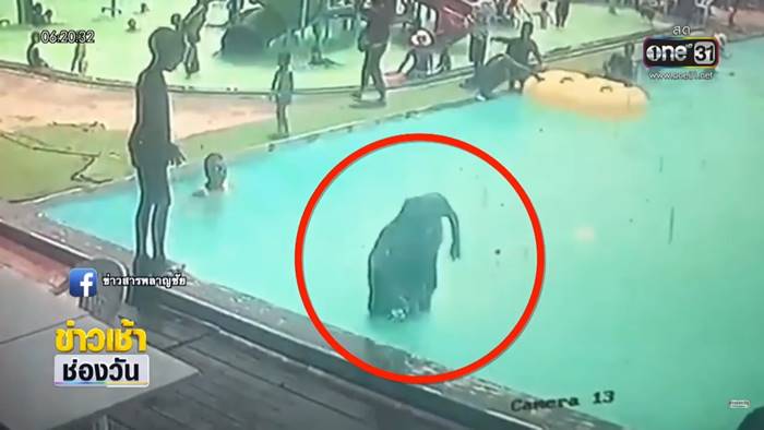 เด็กจมน้ำ เด็กจมน้ำ