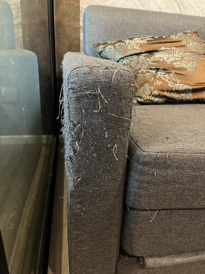 ปล่อยเช่าคอนโด ห้องพังยับ ปล่อยเช่าคอนโด ห้องพังยับ