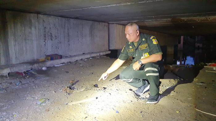 ตัวเงินตัวทองกินศพ ตัวเงินตัวทองกินศพ