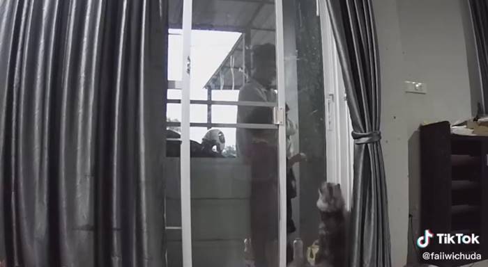 แมวเปิดประตูบ้านให้เจ้าของ แมวเปิดประตูบ้านให้เจ้าของ