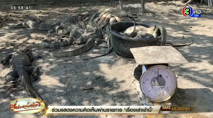 ตัวเงินตัวทอง ตัวเงินตัวทอง