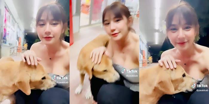 หมาหน้าเซเว่น เล่นกับน้องพีคพีค หมาหน้าเซเว่น เล่นกับน้องพีคพีค