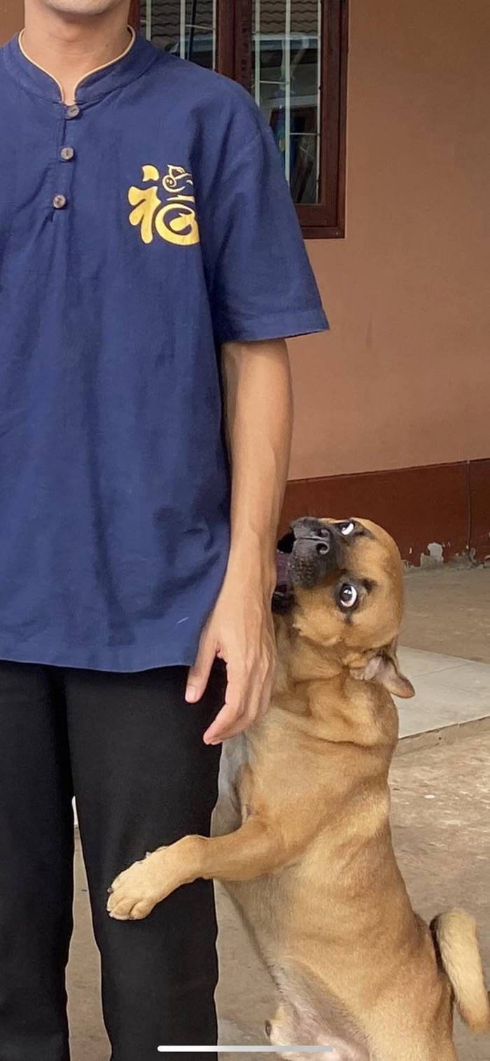 ครูเยี่ยมบ้านนักเรียน หมาสวบแขนตาเหลือก ครูเยี่ยมบ้านนักเรียน หมาสวบแขนตาเหลือก