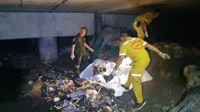 ตัวเงินตัวทองกินศพ ตัวเงินตัวทองกินศพ