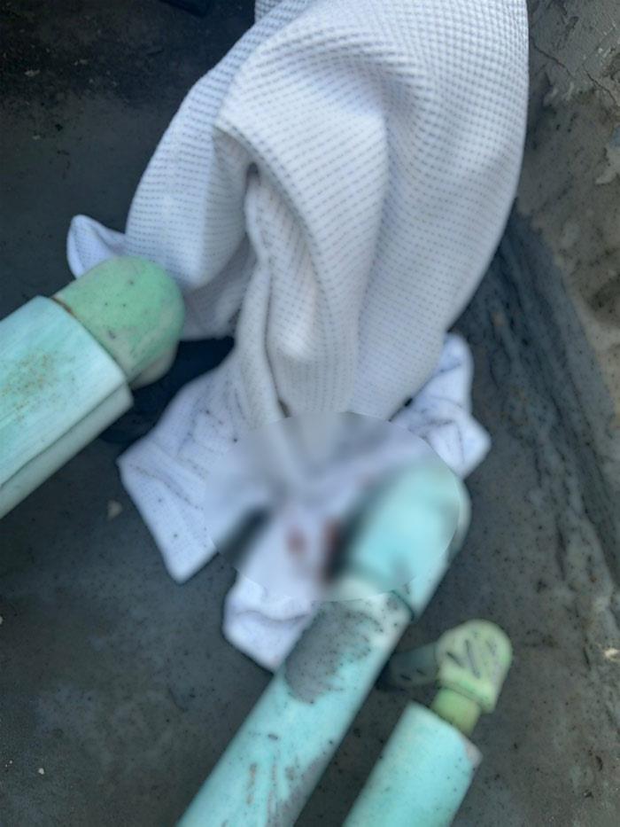 ดีเจโก กรีนเวฟ เสียชีวิต ดีเจโก กรีนเวฟ เสียชีวิต