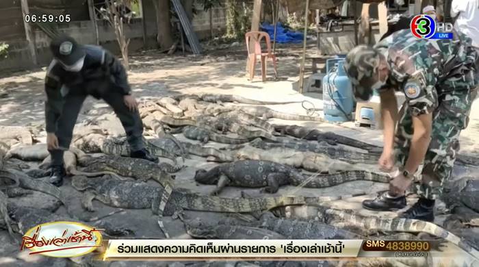 ตัวเงินตัวทอง ตัวเงินตัวทอง