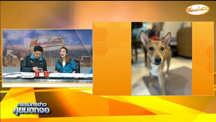 สรยุทธ ให้เหตุผล อาจไม่ได้เลี้ยงน้องตัวตึง สรยุทธ ให้เหตุผล อาจไม่ได้เลี้ยงน้องตัวตึง