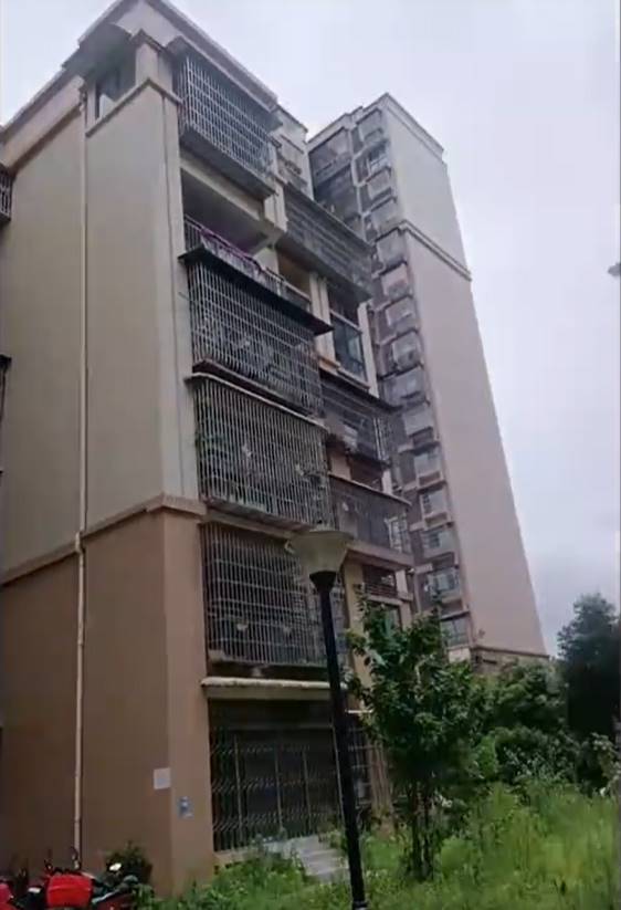 เลี้ยงวัว 7 ตัว บนอพาร์ตเมนต์ เลี้ยงวัว 7 ตัว บนอพาร์ตเมนต์