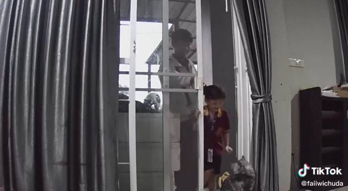 แมวเปิดประตูบ้านให้เจ้าของ แมวเปิดประตูบ้านให้เจ้าของ