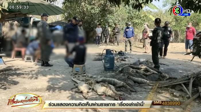 ตัวเงินตัวทอง ตัวเงินตัวทอง