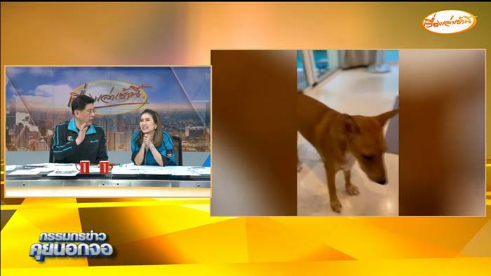 สรยุทธ ให้เหตุผล อาจไม่ได้เลี้ยงน้องตัวตึง สรยุทธ ให้เหตุผล อาจไม่ได้เลี้ยงน้องตัวตึง