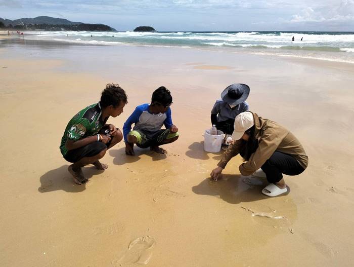 ทากเปลือย Blue dragon พิษร้ายแรง ทากเปลือย Blue dragon พิษร้ายแรง