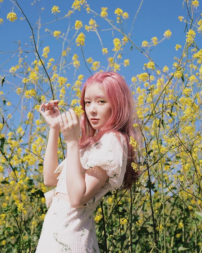 ดาราจีน ดาราจีน