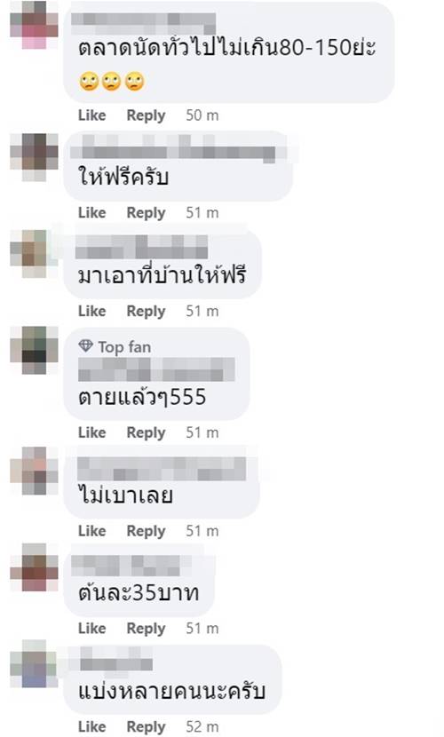 ต้นทองอุไร 70 ราชการซื้อ 6,090 ต้นทองอุไร 70 ราชการซื้อ 6,090