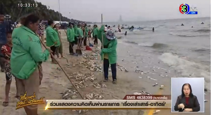 ปลาตายเกลื่อนหาดบางแสน ปลาตายเกลื่อนหาดบางแสน