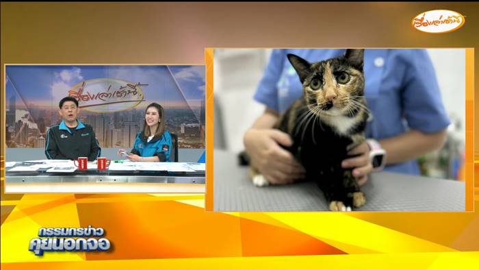 สรยุทธ ให้เหตุผล อาจไม่ได้เลี้ยงน้องตัวตึง สรยุทธ ให้เหตุผล อาจไม่ได้เลี้ยงน้องตัวตึง