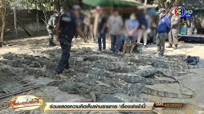 ตัวเงินตัวทอง ตัวเงินตัวทอง