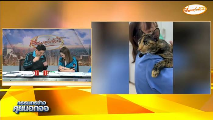 สรยุทธ ให้เหตุผล อาจไม่ได้เลี้ยงน้องตัวตึง สรยุทธ ให้เหตุผล อาจไม่ได้เลี้ยงน้องตัวตึง