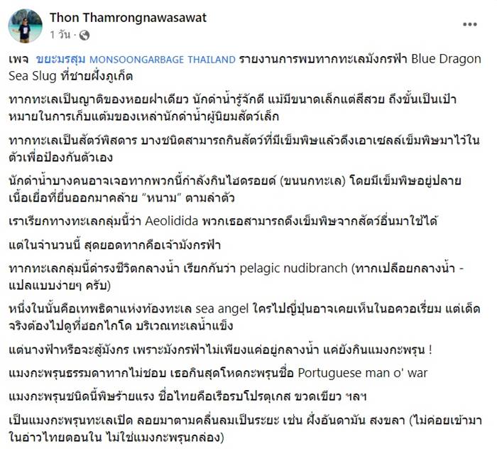 ทากเปลือย Blue dragon พิษร้ายแรง ทากเปลือย Blue dragon พิษร้ายแรง