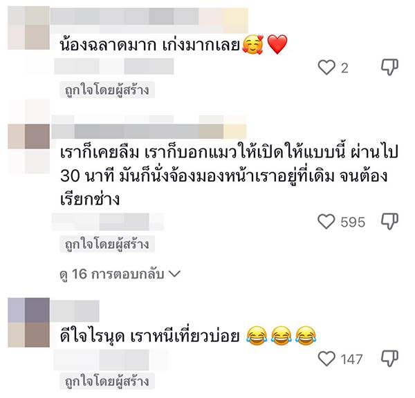แมวเปิดประตูบ้านให้เจ้าของ แมวเปิดประตูบ้านให้เจ้าของ