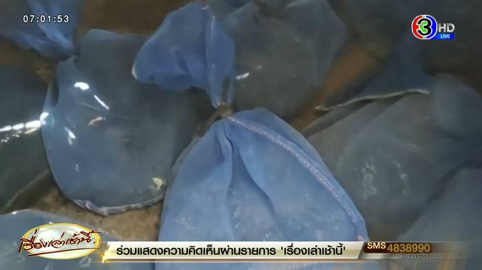 ตัวเงินตัวทอง ตัวเงินตัวทอง