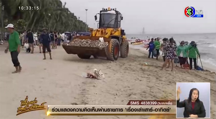 ปลาตายเกลื่อนหาดบางแสน ปลาตายเกลื่อนหาดบางแสน