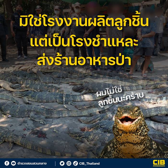 ตัวเงินตัวทอง ตัวเงินตัวทอง