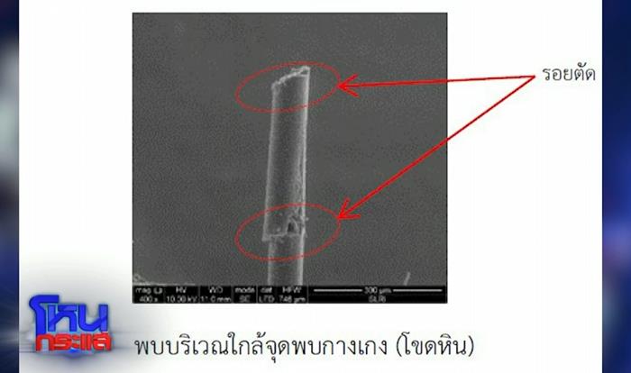 ลุงพลฆ่าน้องชมพู่ทำไม ลุงพลฆ่าน้องชมพู่ทำไม