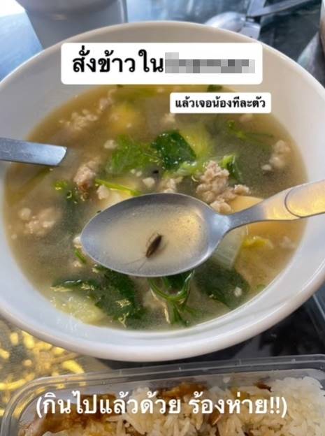 แมลงสาบในอาหาร แมลงสาบในอาหาร