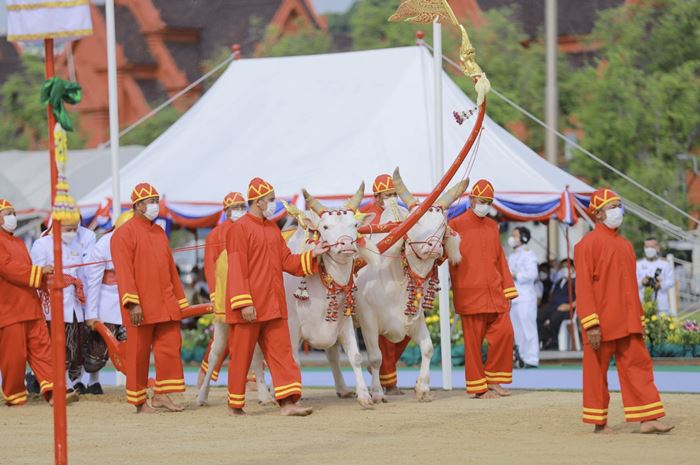 วันพืชมงคล วันพืชมงคล