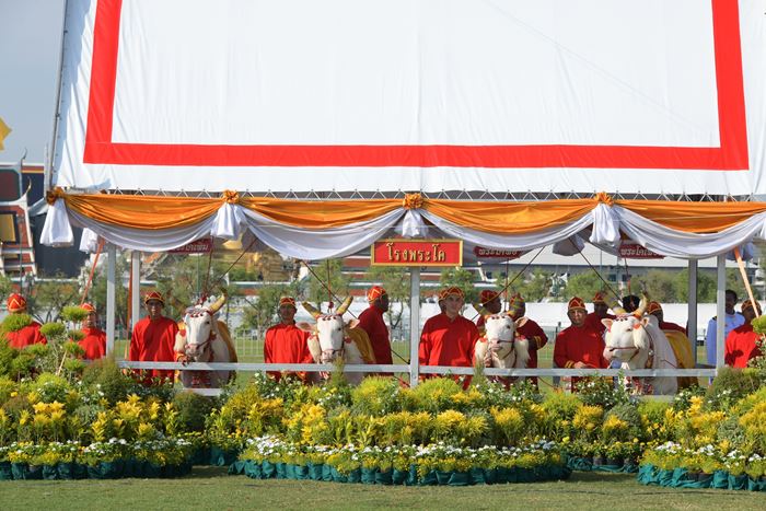 วันพืชมงคล วันพืชมงคล