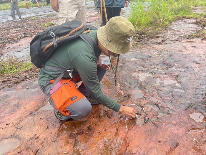 รอยตีนไดโนเสาร์ บนภูหินร่องกล้า รอยตีนไดโนเสาร์ บนภูหินร่องกล้า