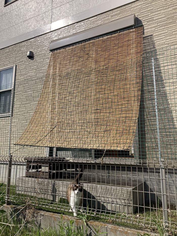 ประหยัดค่าไฟ ประหยัดค่าไฟ