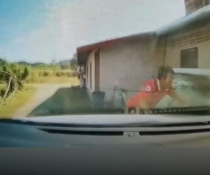 ผัวโบกรถป้ายแดงให้เมียขับ ตกใจเผลอเหยียบชนทั้งคนทั้งโอ่งแตก ผัวโบกรถป้ายแดงให้เมียขับ ตกใจเผลอเหยียบชนทั้งคนทั้งโอ่งแตก