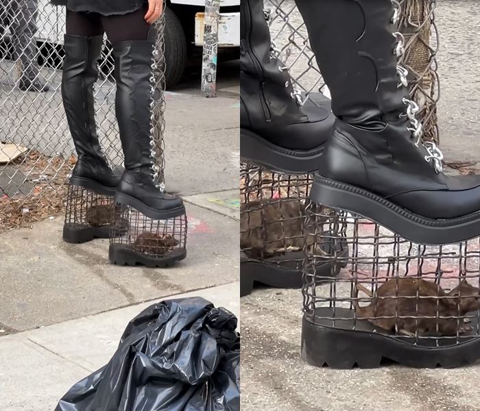 รองเท้าส้นตึกกรงหนู รองเท้าส้นตึกกรงหนู