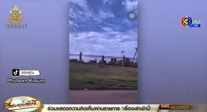 ลิงลพบุรี ลิงลพบุรี