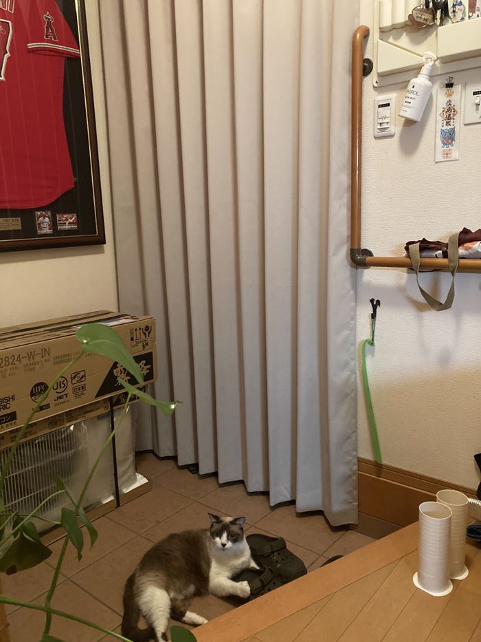 ประหยัดค่าไฟ ประหยัดค่าไฟ