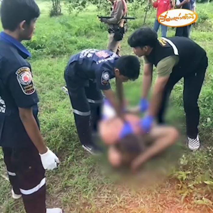 ฝรั่งแก้ผ้ากอดรัดกับวัว ฝรั่งแก้ผ้ากอดรัดกับวัว