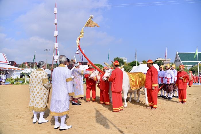 วันพืชมงคล วันพืชมงคล