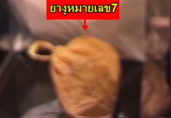 ฆ่า 6 ศพเวียดนาม ฆ่า 6 ศพเวียดนาม