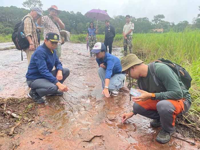 รอยตีนไดโนเสาร์ บนภูหินร่องกล้า รอยตีนไดโนเสาร์ บนภูหินร่องกล้า