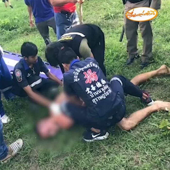 ฝรั่งแก้ผ้ากอดรัดกับวัว ฝรั่งแก้ผ้ากอดรัดกับวัว